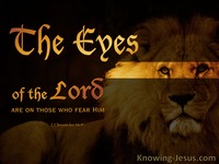 The Eyes of the Lord